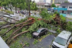 Lima Kenderaan Rosak Ditimpa Pokok Tumbang