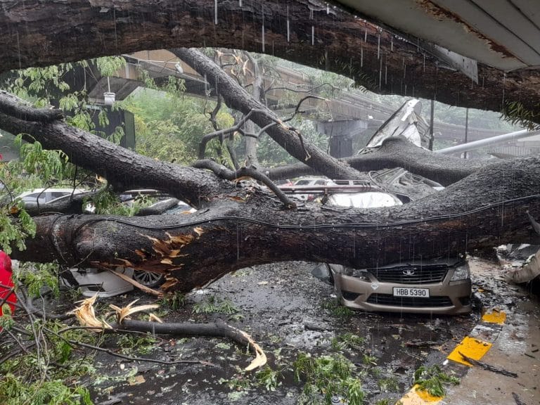 Insiden Pokok Tumbang di Jalan Sultan Ismail – Seorang Lelaki Maut, Seorang Cedera