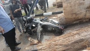Wanita Nyaris Maut, Dihempap Kayu Balak ketika Menunggu Lampu Isyarat
