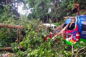 Lima Kenderaan Rosak Dihempap Pokok Tumbang di Genting Highlands