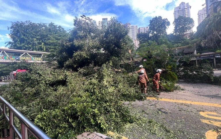 Dua Beranak Cedera Dihempap Pokok Tumbang di Bukit Bintang