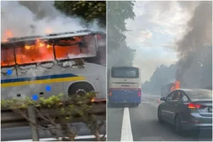 Sebuah Bas Terbakar di Singapura – Kenderaan ke-4 Dilaporkan Terbakar dalam Tempoh 5 Hari