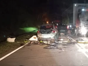 Insiden Gajah Mengamuk: Pemandu Vios Selamat, Sempat Lari Ikut Pintu Belakang