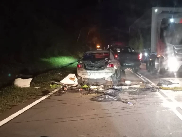 Insiden Gajah Mengamuk: Pemandu Vios Selamat, Sempat Lari Ikut Pintu Belakang