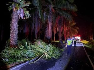 Penunggang Motosikal Maut Rempuh Pokok Tumbang di Tanjung Sedili