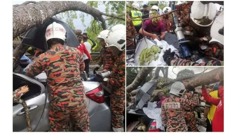 Tiga Sekeluarga Terselamat Dalam Insiden Pokok Hempap Kereta Di Seri Iskandar
