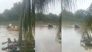 Seorang Mangsa Disyaki Terperangkap Dalam Kereta Terjunam Ke Sungai Panchor