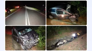 Bayi 11 Bulan Maut Dalam Pelukan Ibu, Kereta Keluarga Langgar Sekumpulan Lembu di Bera