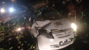 Dihempap Pokok, Lelaki Maut Di Tempat Kejadian