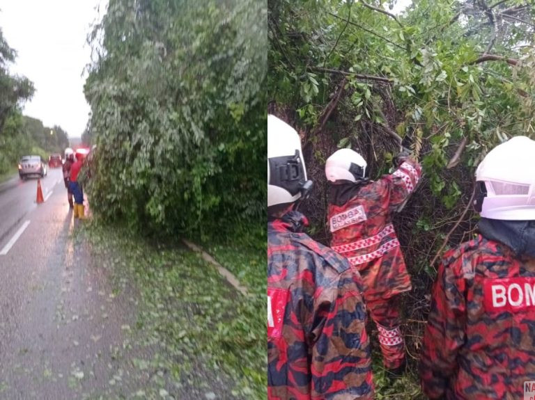 Ribut Tropika Senyar: Penunggang Maut Langgar Pokok Tumbang