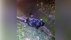 Penunggang Motosikal Cedera Akibat Perlanggaran Dengan Gajah Di JRTB, Tasik Banding