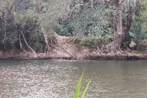 Remaja Lemas Jatuh Sungai di Tuaran, Penduduk Kampung Temui Mangsa