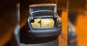 PGA Rampas 210kg Ganja, Lelaki Dicekup Selepas Kejaran 10KM Di Pasir Mas
