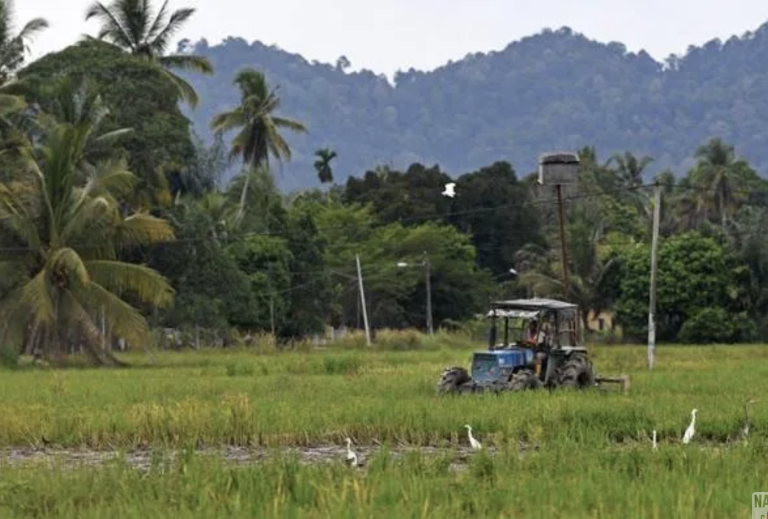 Pesawah