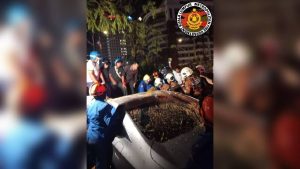 Honda Accord Dihempap Pokok Tumbang, Seorang Lelaki Meninggal Dunia