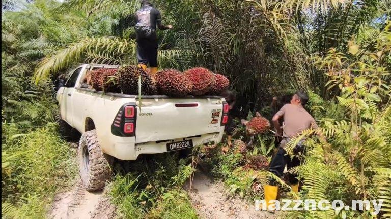 Trak Pikap 4x4